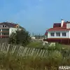 Опасные ситуации на дачной плантации (Фото: Накануне.RU) Фото: Накануне.RU