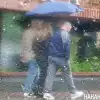 Надо благодарно принимать? Жара, ураганы и тропические ливни накрывают Россию (Фото: Накануне.RU) Фото: Накануне.RU
