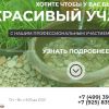 КРАСИВЫЙ-УЧАСТОК.РФ - все работы по благоустройству дачных участков