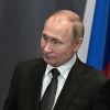 В Демократической партии США найден исполнитель воли Путина (Президент России Владимир Путин | © РИА Новости / Сергей Гунеев) Президент России Вла…