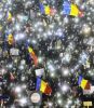 В Румынии зажжён пожар цветной революции