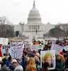 Американские протесты 26 января. (фото)