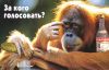 Голосуй – не голосуй, всё равно… (За кого голосовать) За кого голосовать
