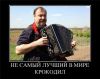 Гудков: Трус не играет в... (Гудков) Гудков